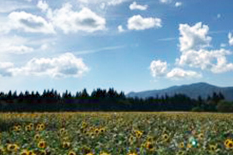 2018 葛飾福祉館こひつじサマーキャンプへ行ってきました！